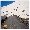 Manali to Leh by road 