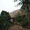 Bridges of Kangra train