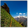 Trekking photo