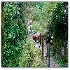 Crossing the bridge