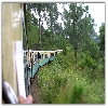 Himalayan Queen at a curve 
