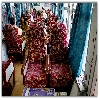 Shivalik Express between Kalka and Shimla inside 