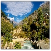 Baspa river by the side of Sangla village