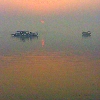 Sundarban
