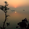 Sundarban