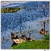 Purbasthali oxbow lake bird sanctuary