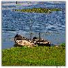 Purbasthali oxbow lake bird sanctuary