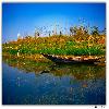Purbasthali Oxbow lake view