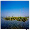 Purbasthali lake