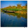 Landscape view at Purbasthali Oxbow lake