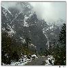 Road towards Yumthang valley