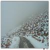 Road covered with snow in north Sikkim