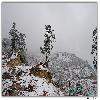 Towards zero point in Yumthang valley in north Sikkim