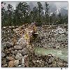 Small bridge to cross the river and visit the hot spring in Yumthang valley