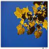 Yellow leaves abstract type