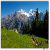 Starting from Bhandak towards Barshaini village