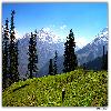 Tea point, view of Himalayas