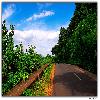 Road to Araku 