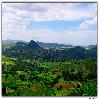 Green Araku valley view from road