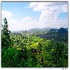 Araku view green valley