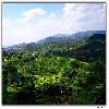Araku view from a distance