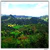 Green around Araku valley