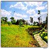 Garden  inside resort