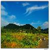 Road near Araku valley