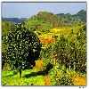 View of valley from road at Araku