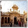 Karni mata mandir Bikaner