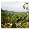 Ghat section on the way to Agumbe sunset view point