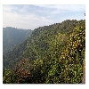 Western ghat valley view at Agumbe of Shimoga