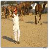 Camel research centre in Rajastan