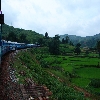 Araku train