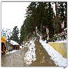 Winter at Wildflower hall on the way to Kufri at Shimla