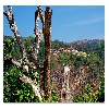 Jog falls shimoga