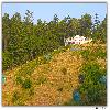 Fuits garden Chaubatia 8 KM from Ranikhet