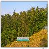 Chaubati fruits garden trekking and sightseeing