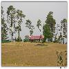 Golf ground near Kali temple Ranikhet