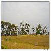 Golf ground of Ranikhet