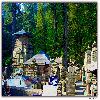 The temple at Jageshwar near Almora