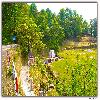 The Shiva temple on the way to Binsar jungle.