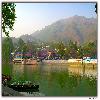 Purple flowers on the opposite shore of Bhimtal lake