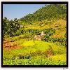 terrace farming at the valleys