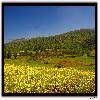 valleys of sunkhi ghati