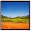 Greenery on the road side in Odisha