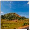 Green valley near Paderu 