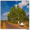 Green valley on the way to Araku from Paderu