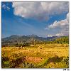 green valley and cultivation around Paderu