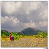 The road and the lady at Paderu